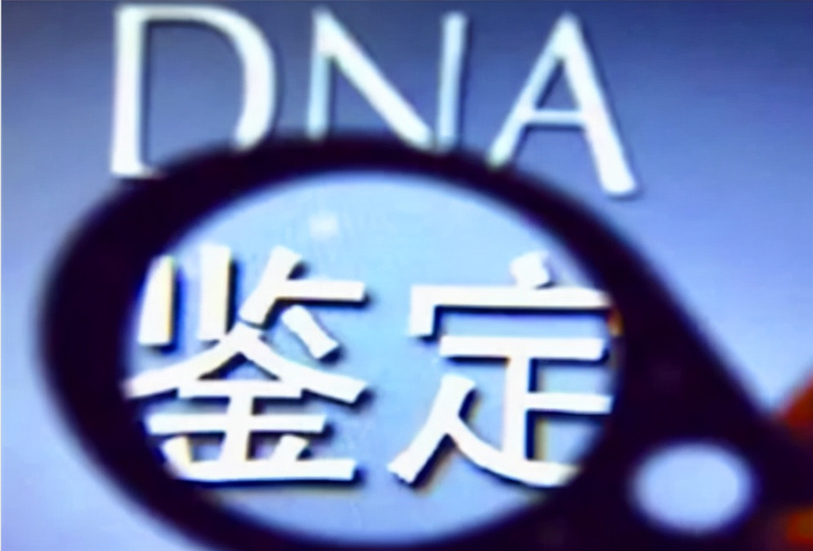 长沙如何偷偷做DNA鉴定,长沙DNA亲子鉴定需要什么流程