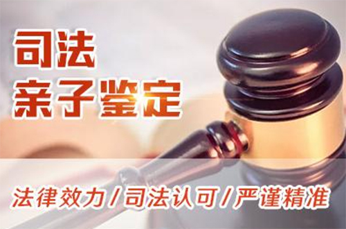 长沙司法亲子鉴定具体流程,长沙司法亲子鉴定准确可靠吗